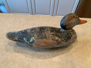 Antique Duck Decoy 9 - Collector Mallard Duck Decoy