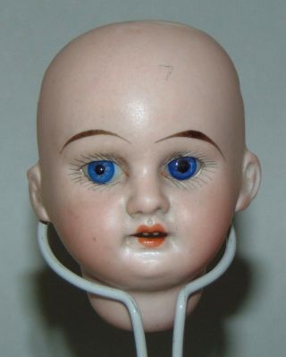 Antique Bisque Doll Head Armand Marseille German 1894 Dep