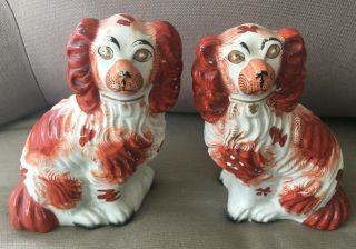 Pair Staffordshire Spaniel Dogs Mantle English Victorian Antique Hand Painted S