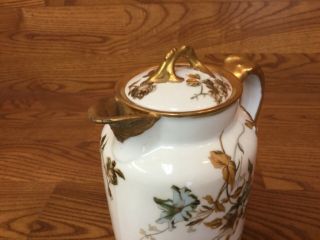 Antique Haviland Limoges H&Co 8” Coffee/Tea Pot - w/Gold Trim 3