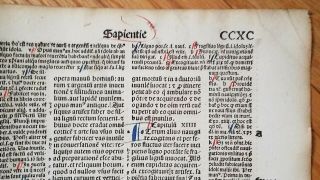 1500s INCUNABULA FOUR PAGES SINGLE SHEET Antique Paper 6