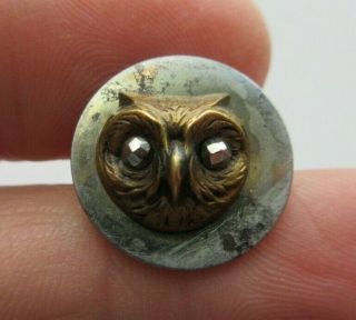 Antique Vtg Victorian Metal Picture Button Owl W/ Cut Steel Eyes (u)