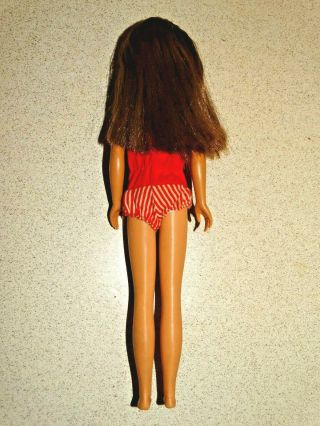 Barbie: VINTAGE Brunette JAPANESE Exclusive STRAIGHT LEG SKIPPER Doll 4