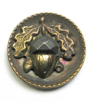 Bb Antique Brass Cup Button Acorn W/ Cut Steel Accent Design - 1/2 "