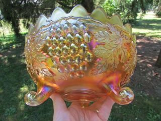 Northwood Grape & Cable Antique Carnival Art Glass Ftd Centerpiece Bowl Marigold