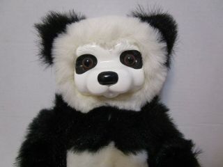 Robert Raikes 1999 Panda Teddy Bear Limited Edition Fortune Cookie 813 - 1000