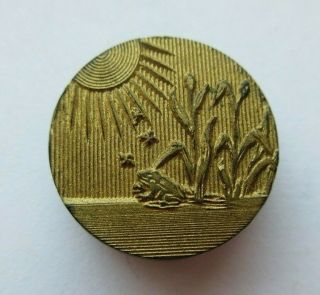 Exceptional Antique Vtg Carved Horn Picture Button Gold Luster Frog In Pond (n)