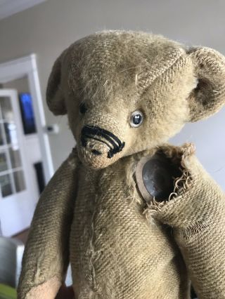 Antique Mohair Jointed Straw/excelsior Stuffed Bear Circa 1907
