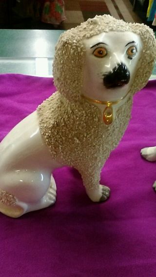 Antique Staffordshire dogs 2