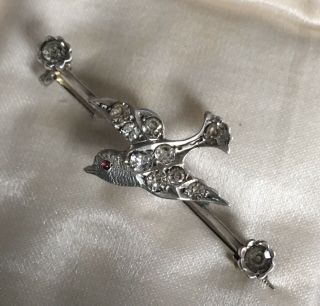 Antique Victorian / Edwardian 900 Silver Diamond Paste Swallow Swift Brooch Pin