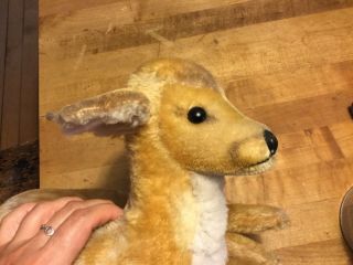 Vintage Mohair Steiff Deer Fawn Bambi Laying Down Germany 15 " Long 1965 - 67 Gc