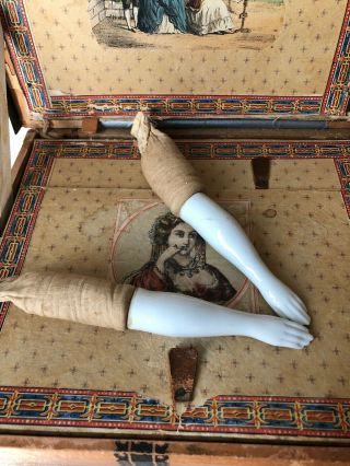 Elegant Antique 1800’s China Doll Arms W/cloth Uppers.  1