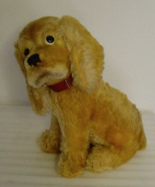 Large Vtg 50s Steiff Mohair Cockie Cocker Spaniel Dog With Button And Tag 27 Cm