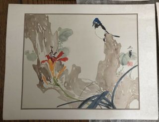 Vintage Japanese Woodblock Print Bird & Flowers Koson?