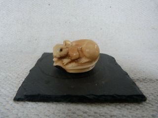 Very Fine Antique Japanese Carved Tagua Nut Netsuke Of Rat.  Signed