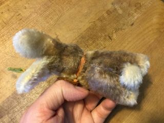 Antique Vintage Steiff Bunny Rabbit Sonny 4” W/ ID Darling 4