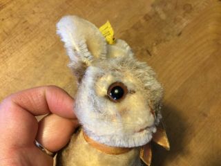 Antique Vintage Steiff Bunny Rabbit Sonny 4” W/ ID Darling 7