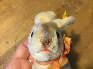 Antique Vintage Steiff Bunny Rabbit Sonny 4” W/ ID Darling 8