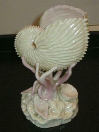 Stunning Antique Royal Worcester Porcelain Nautilus Shell Vase