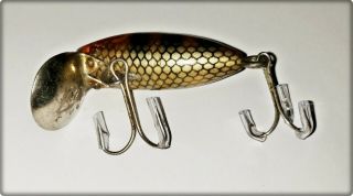 Very Tough Hex Bait Co Actionette Lure Perch,  Silver Scales ONT 1950s 3