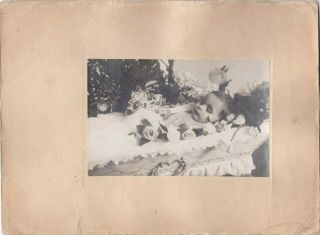 1920s Big Post Mortem Little Baby In Coffin Funeral Child Russian Antique Photo