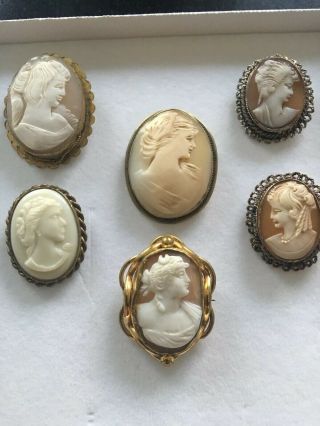 Antique Vintage Carved Cameo X 6 Not