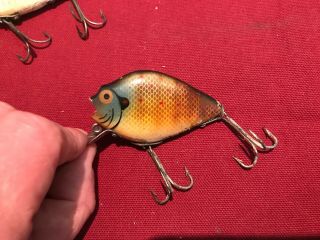 Vintage Wood HEDDON 740 PUNKINSEED FLOATER in SUNFISH Antique Fishing Lure 9 2