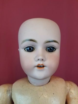 Antique German Bisque Head Doll 99 Dep Handwerck Blue Sleep Eyes 24 Inch