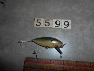 S5599 F True Temper Speed Shad Fishing Lure