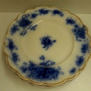 7 Antique Flo Blue White Dinner Porcelain Plates Albany Usa Embossed Floral