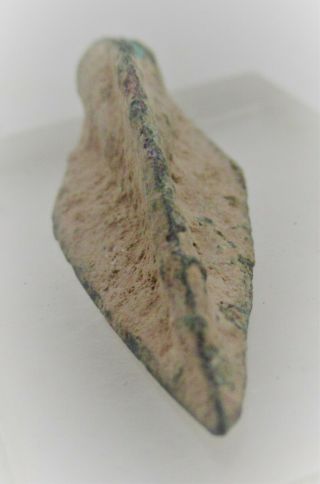 Ancient Persian Tri - Lobed Bronze Arrowhead Authentic War Relic