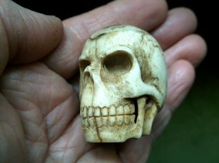 Rare Antique 19th C Large Carved Bovine Bone Memento Mori Human Skull Netsuke