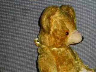 Vintage Golden Fully Jointed Teddi - Gund Teddy Bear 16 " Very Cute C.  1948