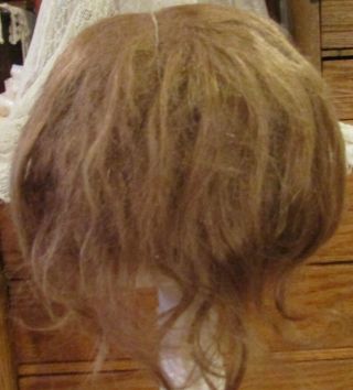G208 Antique 11 " Gorgeous Mohair Doll Wig For Antique Bisque Doll