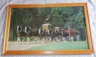 Vintage Budweiser Clydesdale Horses Large Framed Picture Print