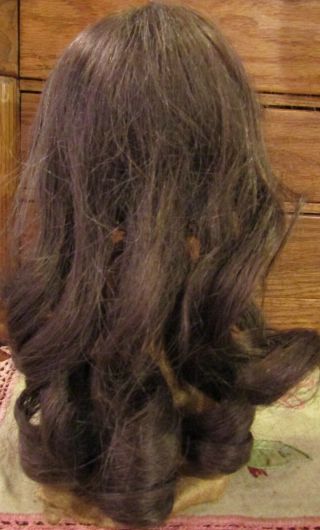 G184 Vintage 9 - 10 " French Human Hair Long Doll Wig For Antique Bisque Doll