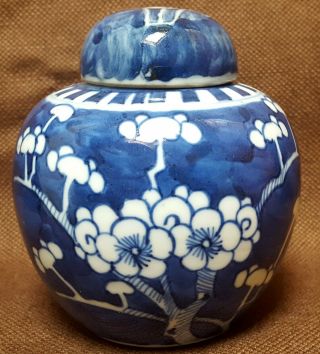 Small 19th/20th Century Chinese Blue & White Prunus Jar & Cover