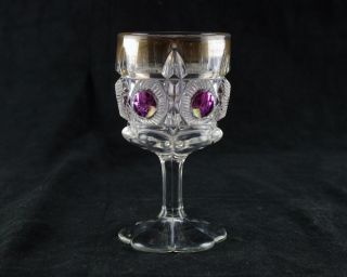 Us Glass Bulls Eye And Daisy Goblet Amethyst Stained Gold,  Antique Eapg Newport