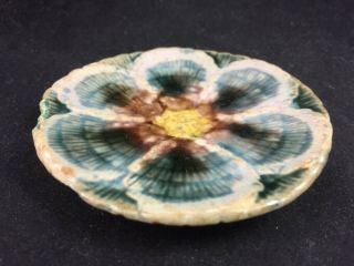 Antique Majolica Shell & Seaweed BUTTER PAT Griffin,  Smith & Hill 2