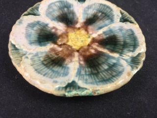 Antique Majolica Shell & Seaweed BUTTER PAT Griffin,  Smith & Hill 3