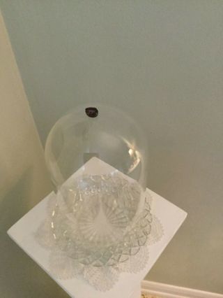 Bell Jar Glass Cloche Display Dome Featuring Antique Amethyst Setting On Top