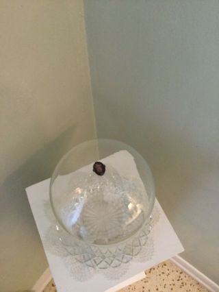 BELL JAR GLASS CLOCHE DISPLAY DOME FEATURING ANTIQUE AMETHYST SETTING ON TOP 2