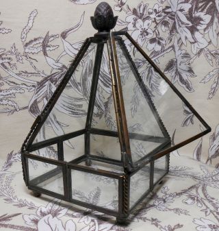 Glass And Brass Curio Display Box Unusual Shape Arichoke Finial