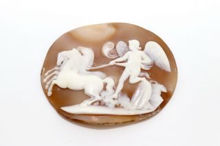 A Antique Georgian Victorian Carved Shell Cameo Panel For Brooch 14490
