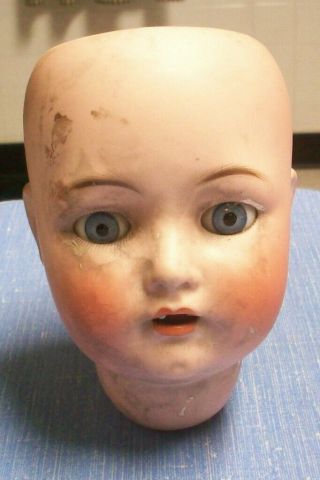 Simon & Halbig Doll Head With Glass Eyes