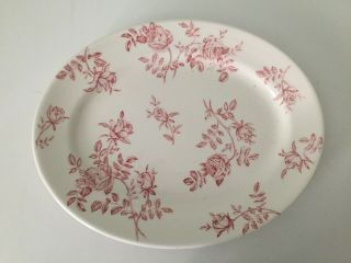 Churchill Oval Serving Plate Fine China England Antique Rose Pink Red On White