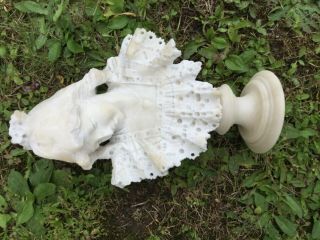 Miniature 19thC Antique VICTORIAN Carved MARBLE LADY BUST Old PARLOR SCULPTURE 5
