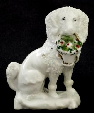 Small Antique Staffordshire Porcelain Poodle Dog Holding Basket In Mouth