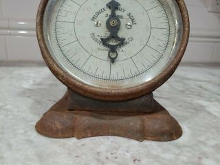 Vintage Pelouze Family Scale 24lb Old Farm House Kitchen Blue Rusty early 1900s 2