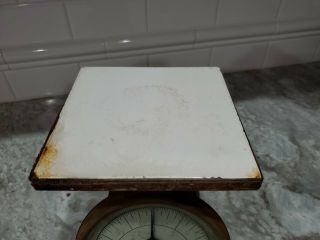 Vintage Pelouze Family Scale 24lb Old Farm House Kitchen Blue Rusty early 1900s 3